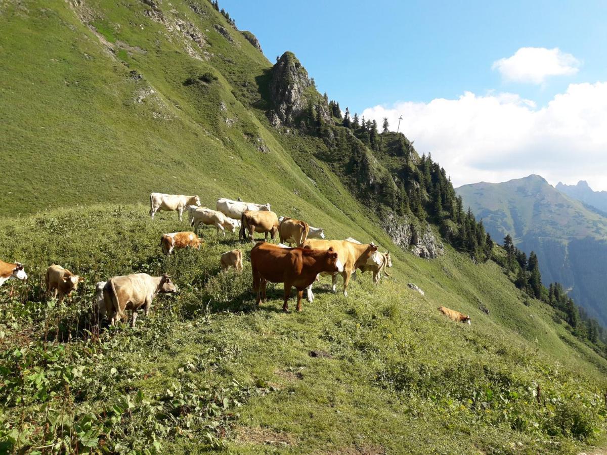 Auszeit Steiraland 3 Mit Ueberdachter Terasse Privatem Garten Und Gratis Parkplatz Леобен Екстер'єр фото
