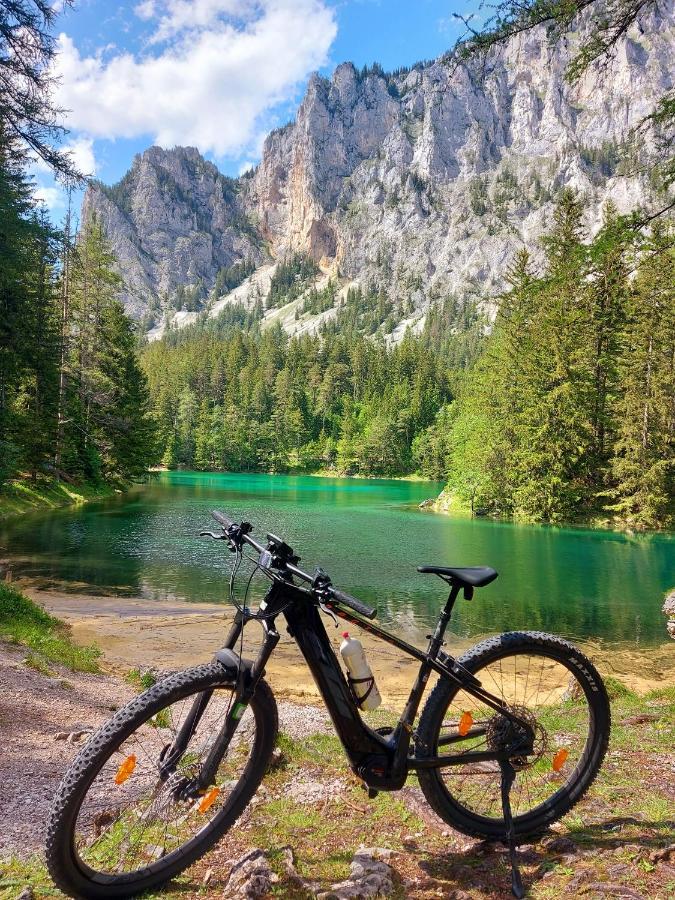 Auszeit Steiraland 3 Mit Ueberdachter Terasse Privatem Garten Und Gratis Parkplatz Леобен Екстер'єр фото